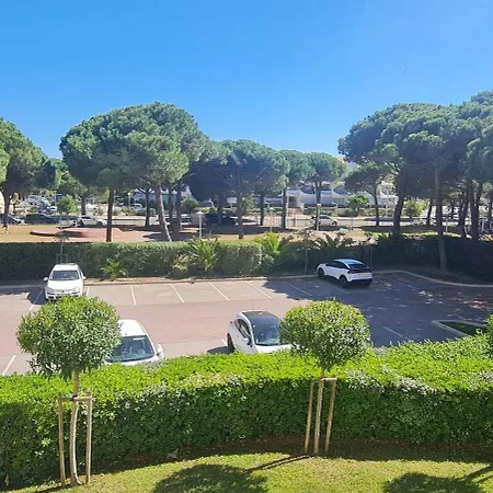 Escale A Port Camargue - Piscine - Tv ル・グロー・デュ・ロワ