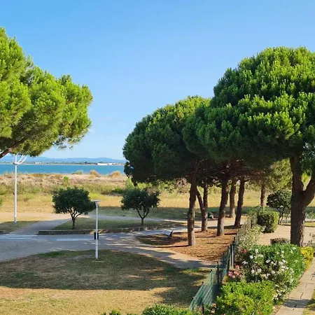 Escale A Port Camargue - Piscine - Tv
