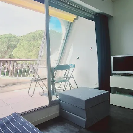 Escale A Port Camargue - Piscine - Tv ル・グロー・デュ・ロワ