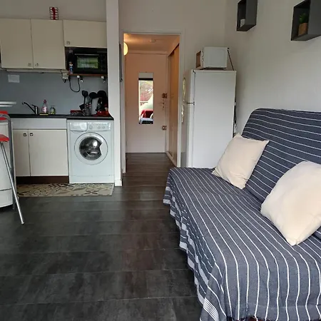 Escale A Port Camargue - Piscine - Tv アパート ル・グロー・デュ・ロワ