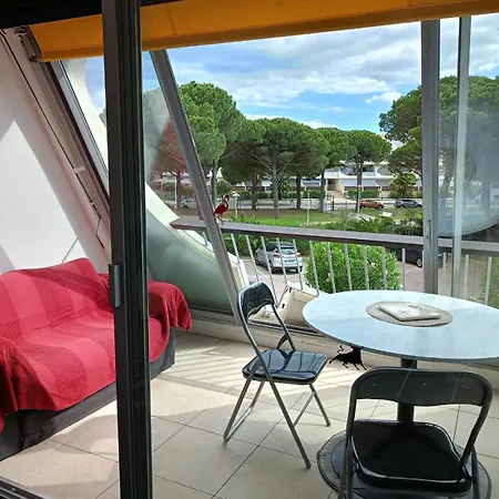 Escale A Port Camargue - Piscine - Tv ル・グロー・デュ・ロワ