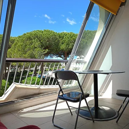 Escale A Port Camargue - Piscine - Tv * ル・グロー・デュ・ロワ