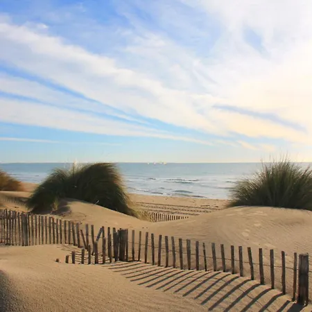 Escale A Port Camargue - Piscine - Tv ル・グロー・デュ・ロワ